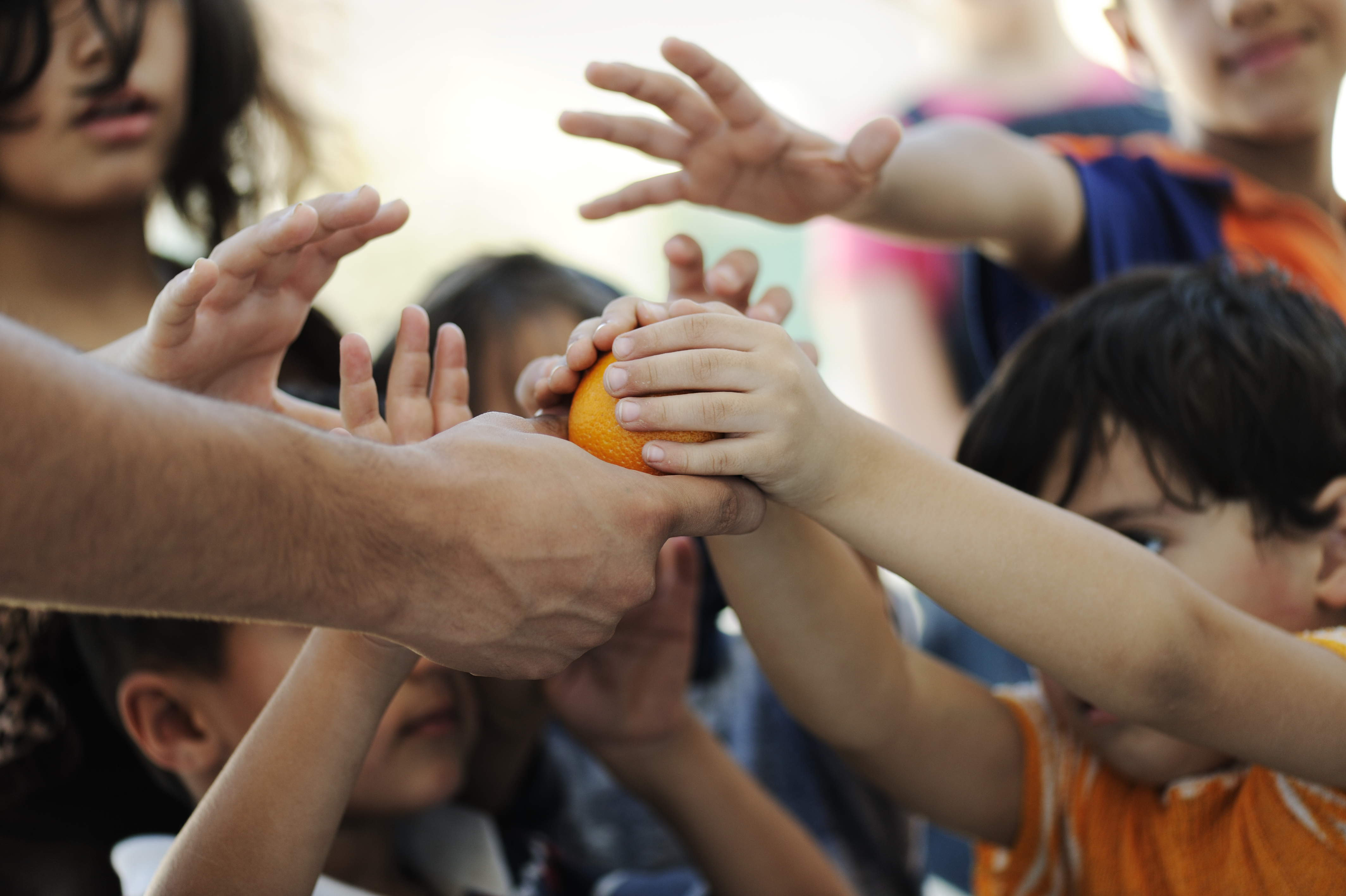 Hands of refugees reaching for an orange
